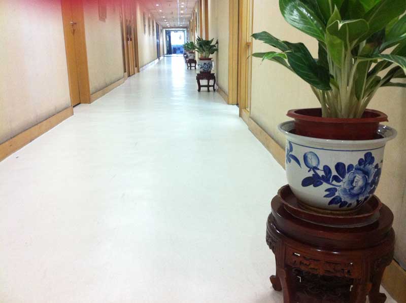 中國廣告聯合總公司辦公室国产香蕉视频 中國廣告聯合總公司辦公室国产香蕉视频