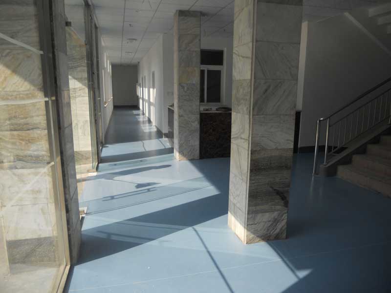 山東省濟南市辦公室国产香蕉视频