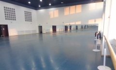 沈陽市渾南新區沈陽歌舞團舞蹈国产香蕉视频