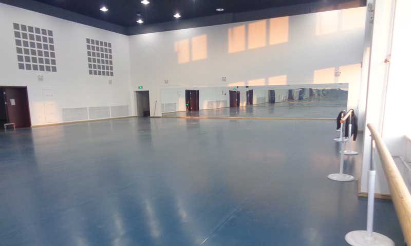 沈陽市渾南新區沈陽歌舞團舞蹈国产香蕉视频