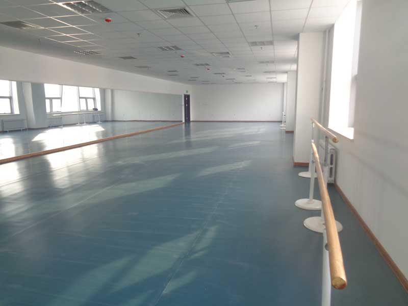 沈陽市渾南新區沈陽歌舞團舞蹈国产香蕉视频