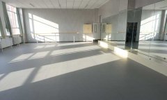 河北石家莊荔枝紋運動国产香蕉视频