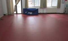 北京海澱北京師範大學乒乓球pvc国产香蕉视频