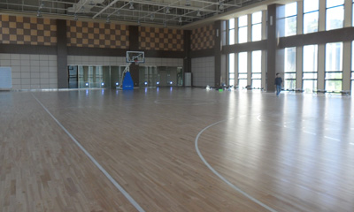 運動国产香蕉视频